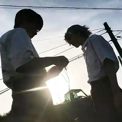 Picture for song '[SOLD] #boylife' by artist 'WHAT?BOYBEATS'