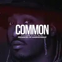 Picture for song 'Common' by artist 'AndreOnBeat'
