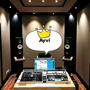 Picture for song 'Ayvi - BIT_11' by artist 'Ayvi'