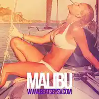 Picture for song 'Malibu (SOLD)' by artist 'BeatsbySV'