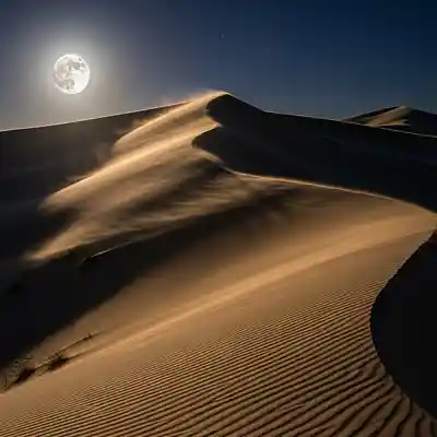 Picture for song 'Sahara Whisper' by artist 'Becker Melodic Records'