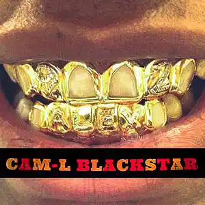 Picture for song '300 150bpm (Exclusive Beat)' by artist 'CAM-L BLACKSTAR'