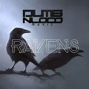 Picture for song 'Ravens (Prod. by DumbNLoco)' by artist 'DumbNLoco Music'