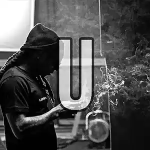 Picture for song 'U | Free Download' by artist 'Frankenstein Beats'