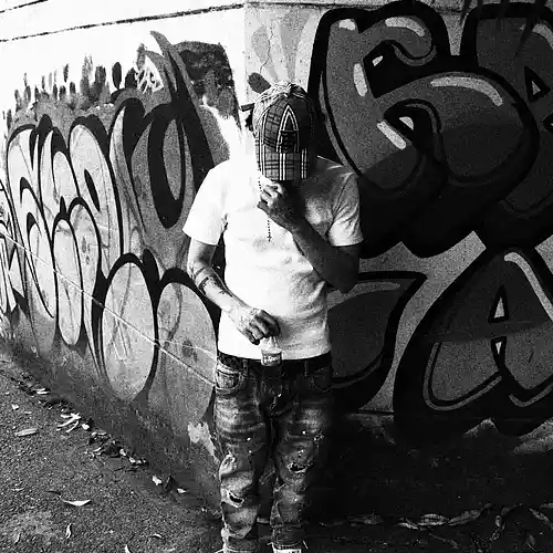 Artist picture
