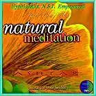 Picture for song 'Meditation on Flute' by artist 'HypMelodix Neuro Sonic Music'
