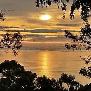 Picture for song 'The Sparrow Knows (Master)' by artist 'John Matteson'