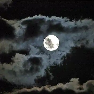 Picture for song 'Creep 2 (Prod. by Sean Divine)' by artist 'Lou Genius'