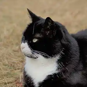 Picture for song 'better and better' by artist 'Mattila'