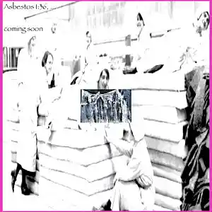 Picture for song 'Variations on a Washer in Foresight of Asbestos' by artist 'No Curfew Kids'