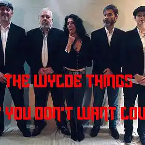 Picture for song 'If You Don't Want Love' by artist 'Wylde Things'