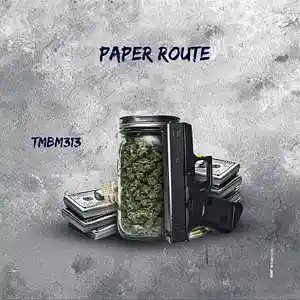 Picture for song 'Paper Route' by artist 'TMBM313'