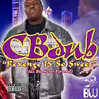 Picture for song 'Dis Is Da Life(feat:CBDub,Anagram&Big Shang)' by artist 'CBDub'