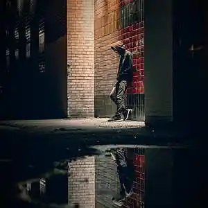 Picture for song 'Lost in the Shadows' by artist 'Doug Murphy'