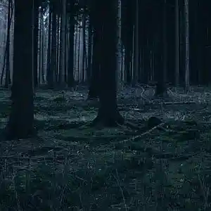 Picture for song 'Bones & Air' by artist 'ORU KU SVKI'