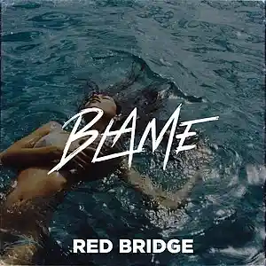 Picture for song 'Blame - Young Sizzle Metro Boomin Type Beat' by artist 'Red Bridge Pro'