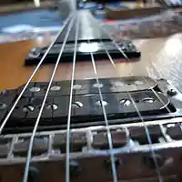 Picture for song 'Summer Cruz' by artist 'Sadhu Madhu'