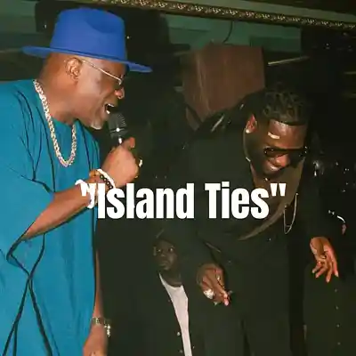 Picture for song '"Island Ties" Burna Boy x Asake x Ayo Maff Type B' by artist 'Trentvibez'