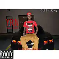 Picture for song 'YRN' by artist 'CosaNostraTrippyy'