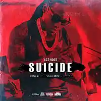 Picture for song 'Suicide' by artist 'VahhaBeatz'
