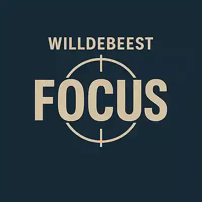 Picture for song 'Focus' by artist 'Willdebeest'