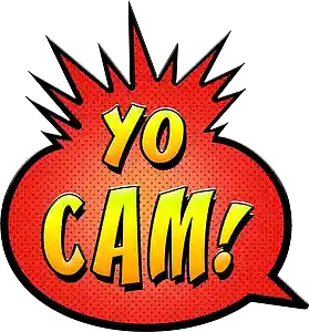 Picture for song 'Half a brick' by artist 'YoCam'