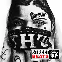 Picture for song 'Lo Sana (Instrumental)' by artist 'Def Street'