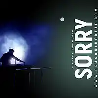 Picture for song 'Sorry w/hook' by artist 'Dras On The Beat'