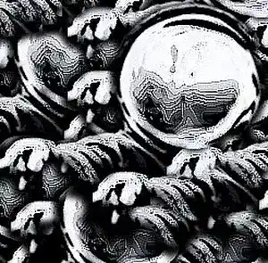 cover pic