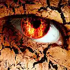 Picture for song 'fire in my soul' by artist 'LR Beatss'