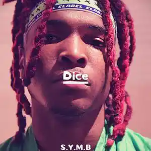 Song picture
