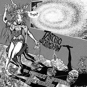 Picture for song 'For A While' by artist 'The Troy Westfield Experience'