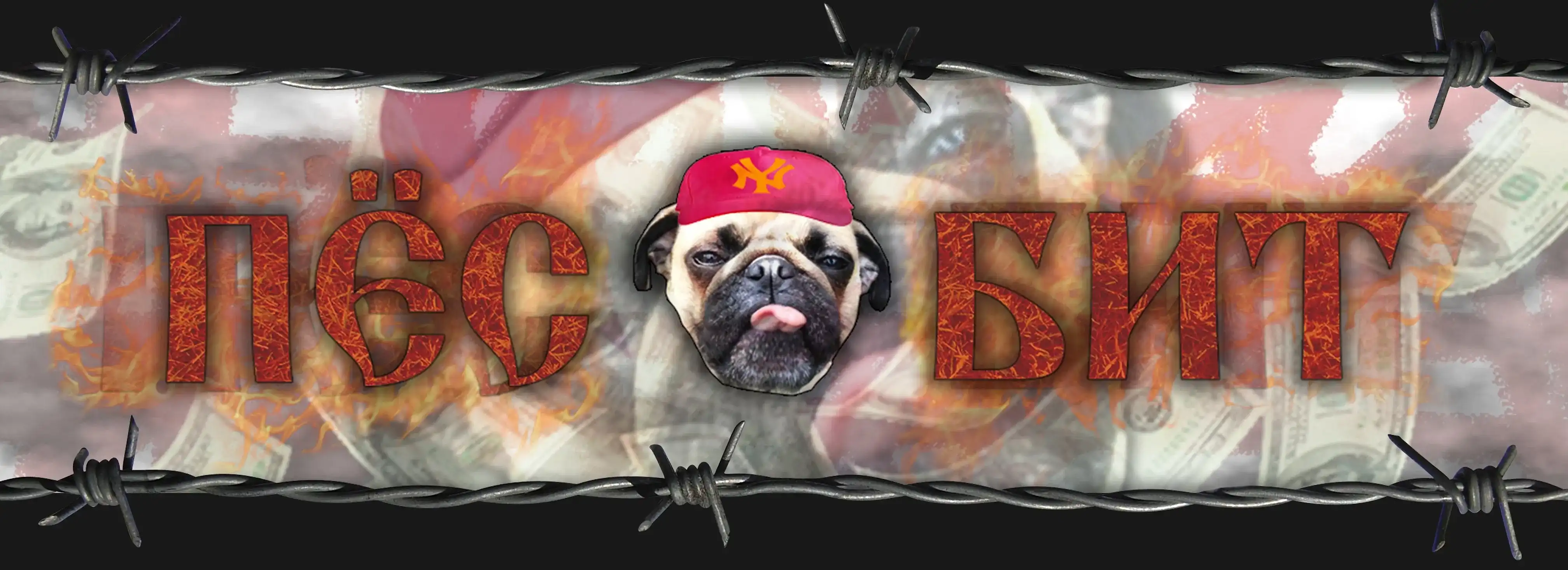 cover pic