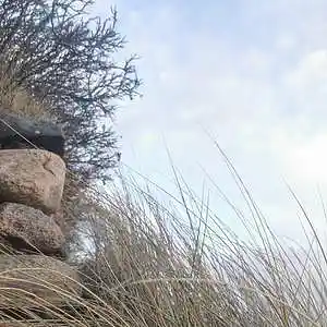 Picture for song '20231228_154150_FurDenDerSichFreut_fs' by artist '786 scheint-Al'lahs Bande'