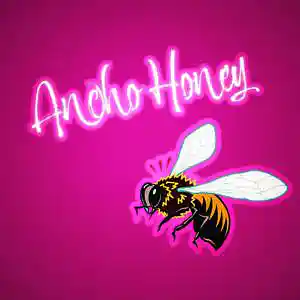 Picture for song 'ANCHO HONEY' by artist 'Bashiri Beat It'