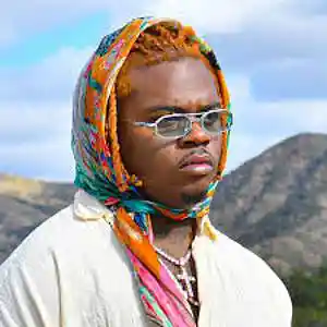 Picture for song 'WATER BOY ( GUNNA TYPE BEAT )' by artist 'Di Anti'