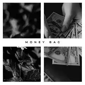 Picture for song 'Money Bag Type Rocket & LILDRUGHILL' by artist 'D V 1 R V E R S BEATS'