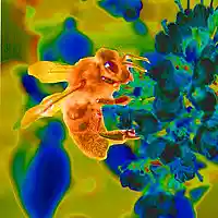 Picture for song 'life is one' by artist 'ric kemper soundclick'