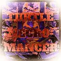 Picture for song 'War N Beaty' by artist 'Turtle Necromancer'