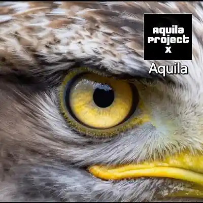 Song picture of 'Aquila'