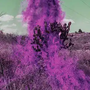 Picture for song '"Peyote" (Buy 2 Get 1 Free)' by artist 'Audiodrux'