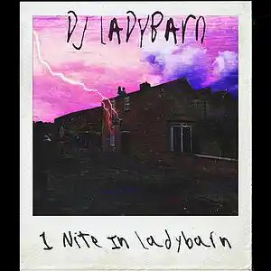 Picture for song 'Wer U Goin?' by artist 'DJ Ladybarn'