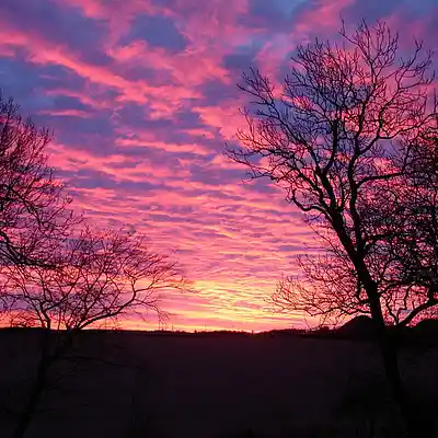 Picture for song 'Final Sunrise' by artist 'Jimi Sweeney'