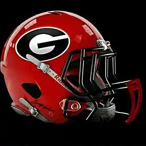 Picture for song 'Lil Mike aka yung wayne stright outta Georgia live' by artist 'Lil mike aka yung Wayne'