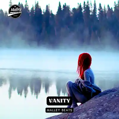 Picture for song 'VANITY [JELLY ROLL TYPE BEAT]' by artist 'Malley Beats'