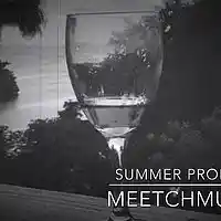 Picture for song 'Summer' by artist 'MeetchMusic'