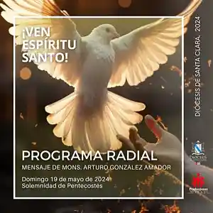 Picture for song 'Solemnidad de Pentecostes, 19 de mayo' by artist 'Producciones Vandor'