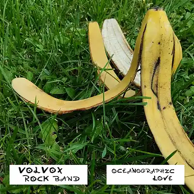 Picture for song 'Laura (Demo)' by artist 'Volvox Rock Band'