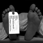 Picture for song 'Run It Up' by artist '887 Kash Kamp'