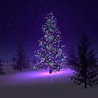 Picture for song 'Winter Breeze (AliasBeats.com)' by artist 'Alias Beats'